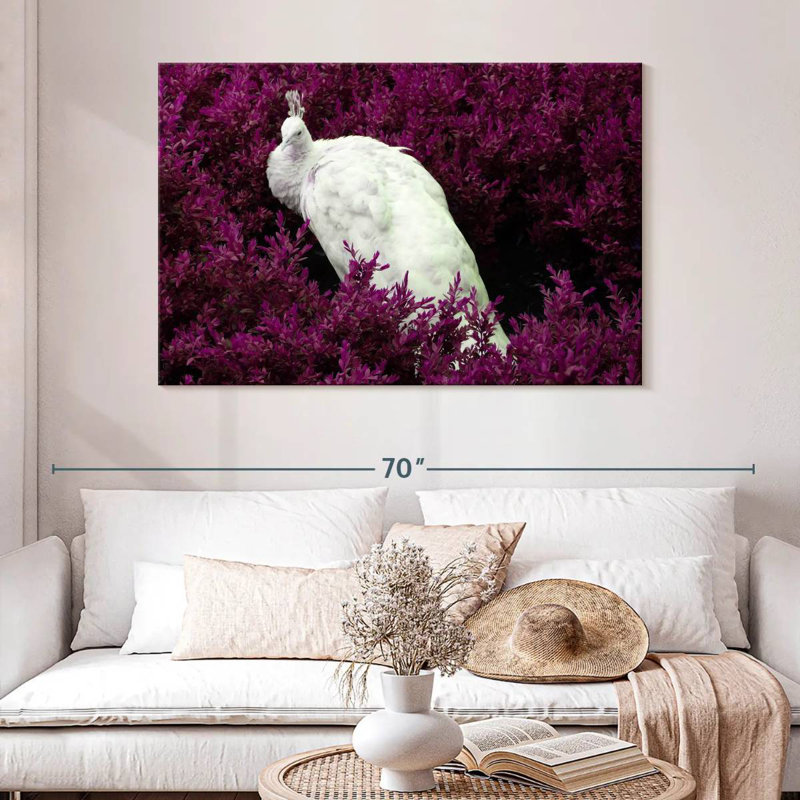 Brampt White Peacock In Purple Field