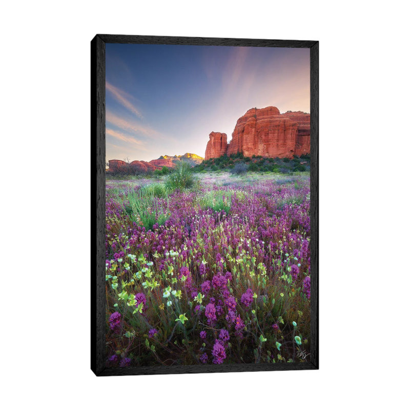 Red Rock Spring by Peter Coskun - Floater Frame Print on Canvas, 66.04 cm H x 45.72 cm W, Black Framed Canvas