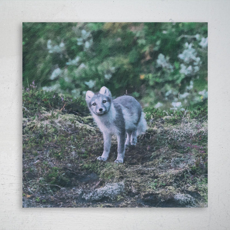 «Gray and White Fox On Top Of Mountain», reproduction d'art graphique sur toile tendue carrée 1 pièce