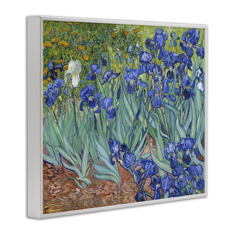 «Classic Van Gogh Irises», art giclée par one1000paintings, Estampe numérique encadrée blanc bord de mer, H 16 po x l 20 po