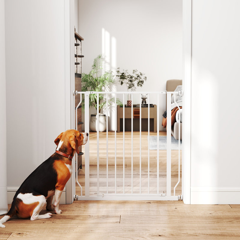 Barrière pour chien très large de 30 à 34 po avec double système de verrouillage, Blanc