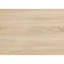 Taion Coffee Table