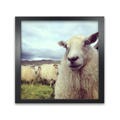 Whats Up by Nur Mut - Single Picture Frame Print