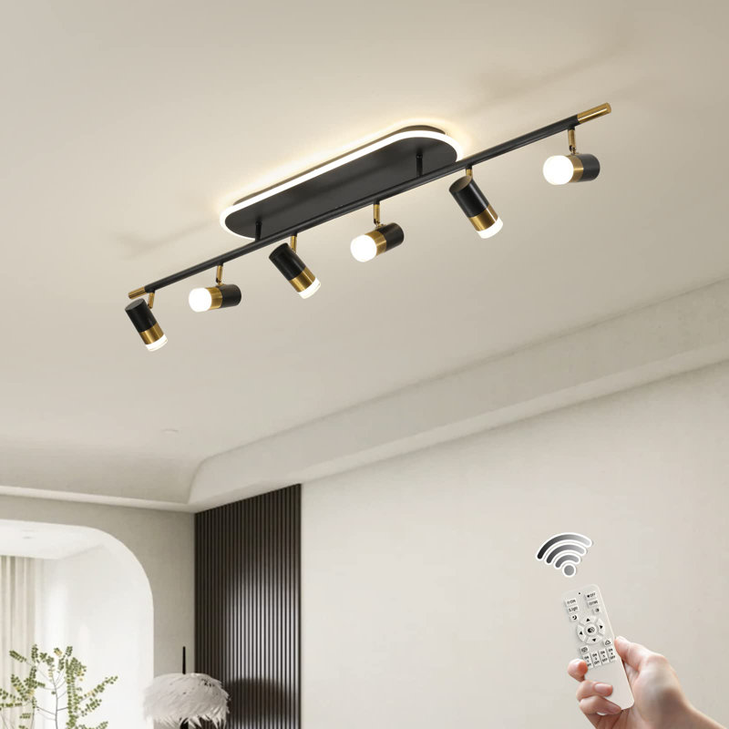 Gold LED Adjustable Fixed Track Lighting Head, Matte Black