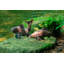 Statues de jardin en cuivre antique 