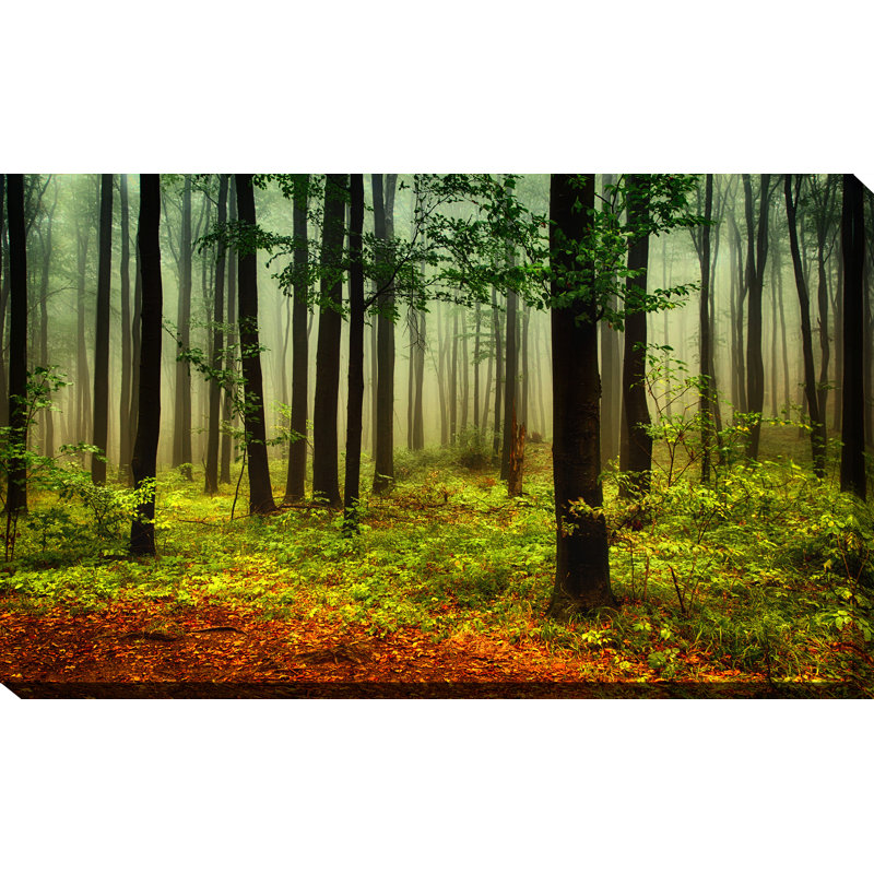« the right path », reproduction de photo sur toile tendue, H 24 po x l 40 po x P 1 po