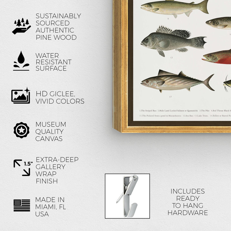 " American Fish " Painting Print, 20" H x 17" W , Gold Framed