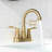 Centerset 2-handle Bathroom Faucet with Drain Assembly-48895513