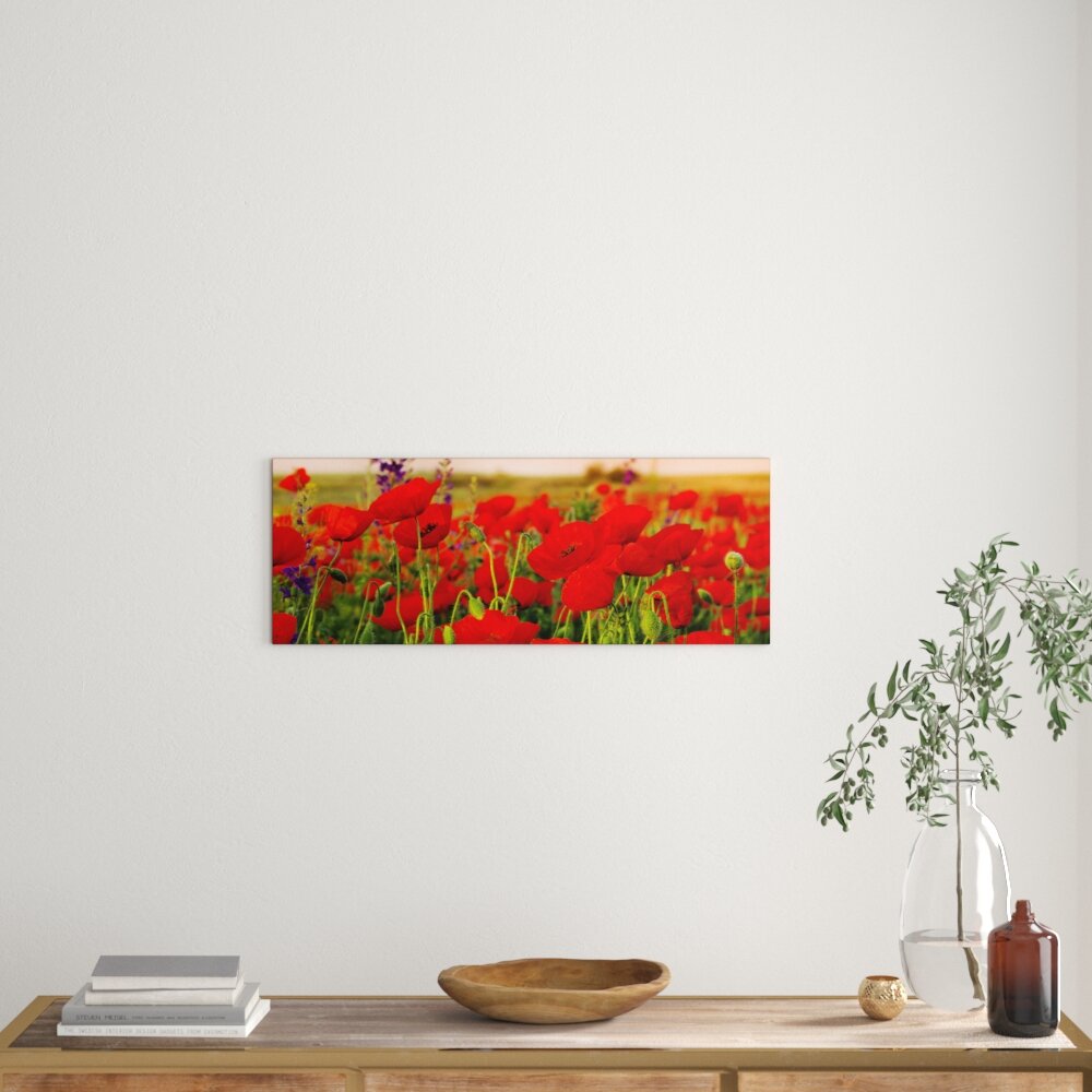 Glasbild Summer Poppy Field, Kunstdruck