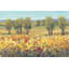 Golden Fields I by Timothy O' Toole - Painting-222470672-222470679