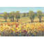 Golden Fields I by Timothy O' Toole - Painting-222470676-222470677