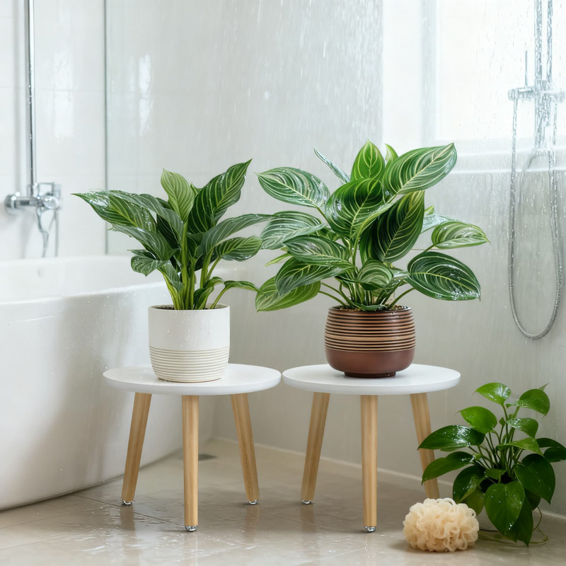 Support pour plantes Mid-Century Modern