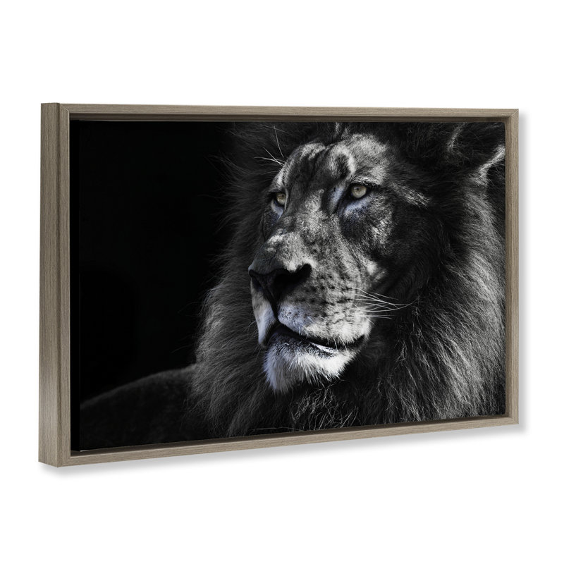Portrait d'un lion en gros plan, H 21 po x l 31 po, Cadre flottant orme Montalcino