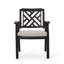 Outdoor Dining Armchair with Cushions