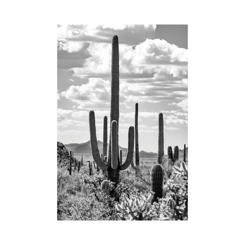 Série noire Arizona - Cactus géant Saguano-PHD1482, H 12 po x l 8 po x P 0,75 po