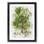 Leaf Lines - Framed Print-56741352-56741357