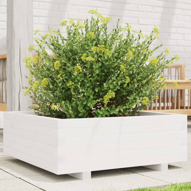 Bhavika Planter Box, White , 10.43" H x 27.56" W x 27.56" D