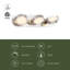 Blanco 1 - Light LED Vanity Light-77452256