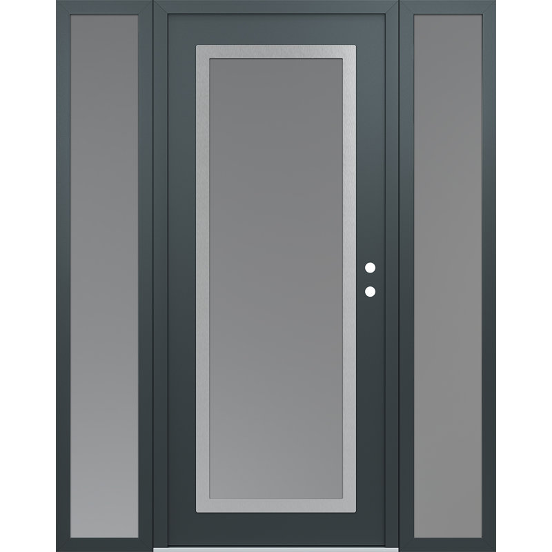 Panneau d'entrée en acier argenté transparent et panneau avant avec porte latérale, L 69 po x H 81,69 po, Givré, Gauche