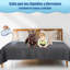 Pet Blanket-109513395