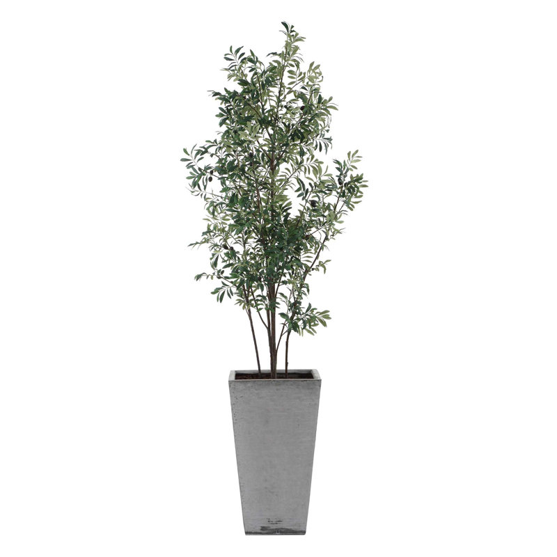 Olive Sonora Uttermost dans un pot à fleurs
