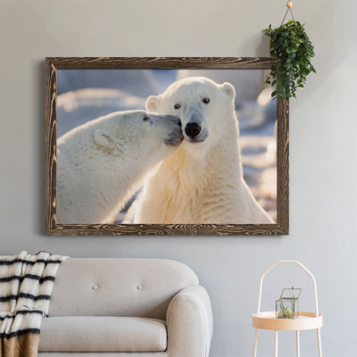 Baiser d'ours polaire - photographie sur toile