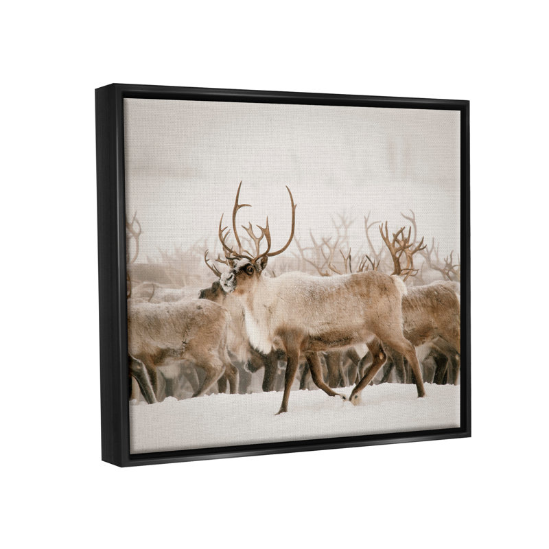 «Elk Herd Snowy Winter Scene Floater» par Krista Broadway, H 17 po x l 21 po x P 1,7 po, Cadre flottant noir de jais