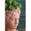 Pot à fleurs avec tête D6x9-184928758