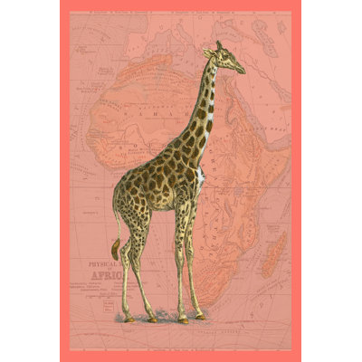 African Animals On Coral I by Studio W - Painting on Canvas