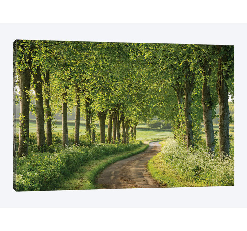 Adam Burton - Print on Canvas, Wrapped Canvas, 152.5 cm H x 101.5 cm W x 3.175 cm D