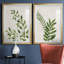 «Botanical Wash I», ensemble de 2 reproductions d'art sur toiles-455244319-455244312-455244305