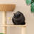 4 Tiers Cat Tree with Condons,Perch,Scratching Posts-117547418
