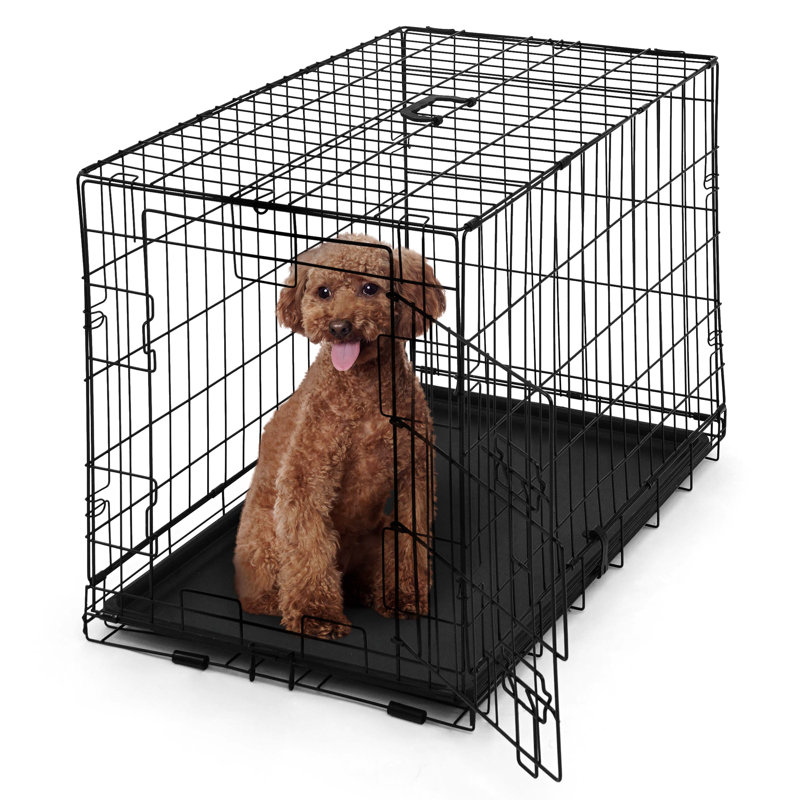 Cage pour chien CAPHAUS Tucker Murphy Pet ™, chenil métallique pour chien avec plateau étanche, 20.9"" H x 30"" W x 18.9"" D