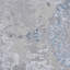 Aniyah Oriental Area Rug-250307419