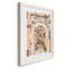 Blush Architecture Study III, reproduction d'art sur toile-88379181-88379175