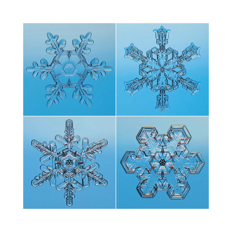 Snowflakes Seen Through Microscope by Steve Gettle - Wrapped Canvas Print, 66.04 cm H x 66.04 cm W x 3.175 cm D