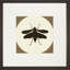 Insect Silhouette I