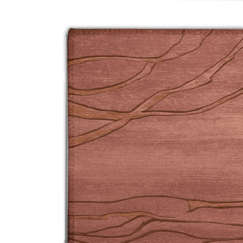 Tapis brun abstrait intérieur et extérieur, Rectangle 4pi x 6 pi