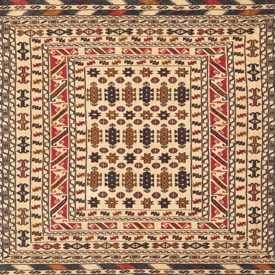 Oriental Indoor Rug