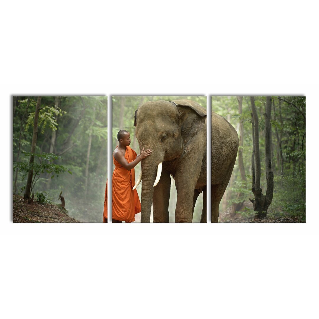 3-tlg. Leinwandbilder-Set Beautiful Elephant with Monk