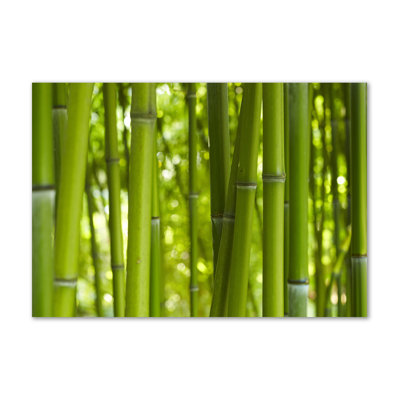 Bamboo - No Frame Print on Canvas