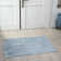 Textured Fringed Area Rug