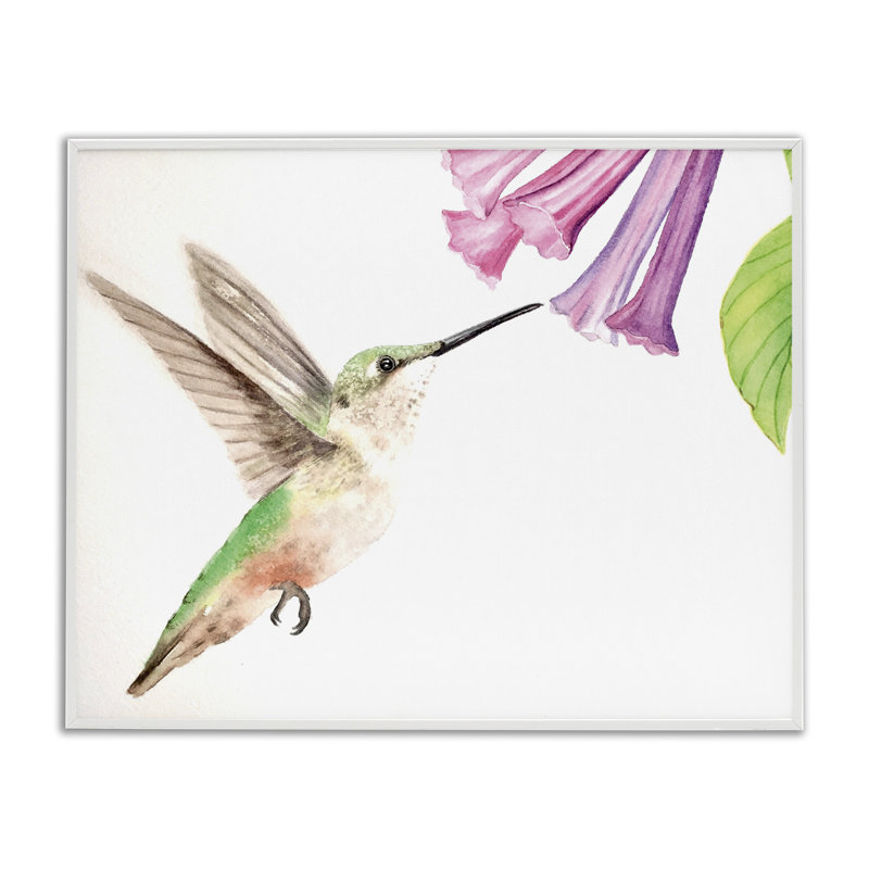 Giclée de colibri et de jacinthe des bois, design par Stephanie Fielden, H 11 po x l 14 po, Giclée encadrée blanc bord de mer