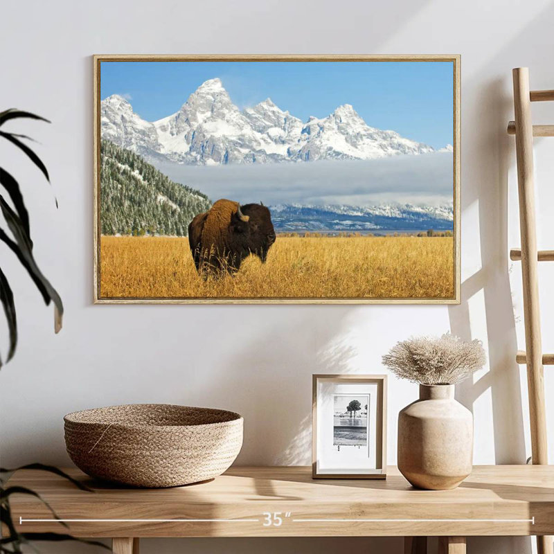 Grand Teton Bison Bull, 25 po x 17 po, Cadre flottant en bois naturel