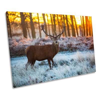 Wild Stag Deer Forest - Wrapped Canvas Print