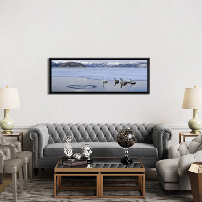 " Whooper swans (Cygnus cygnus) on frozen lake, Lake Kussharo, Akan National Park, Hokkaido, Japan " Color Photography Print