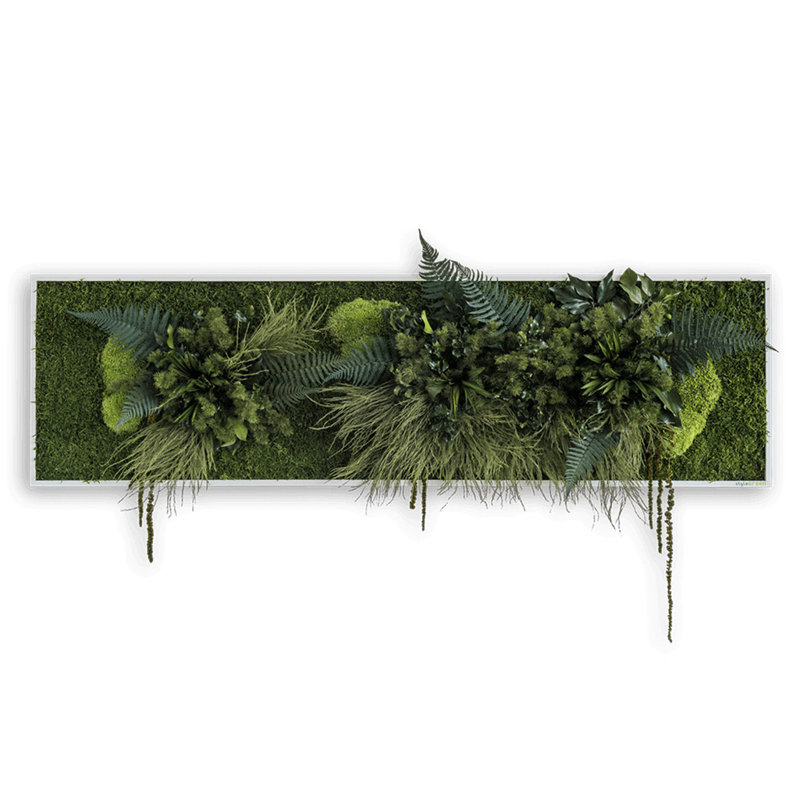 Plants & Flowers Wall Decor on Real Plants