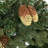 108'' in. Faux Fir Garland