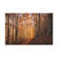 No Frame Print on Canvas