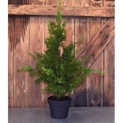 Arbre de cypress artificiel en pot de fleurs